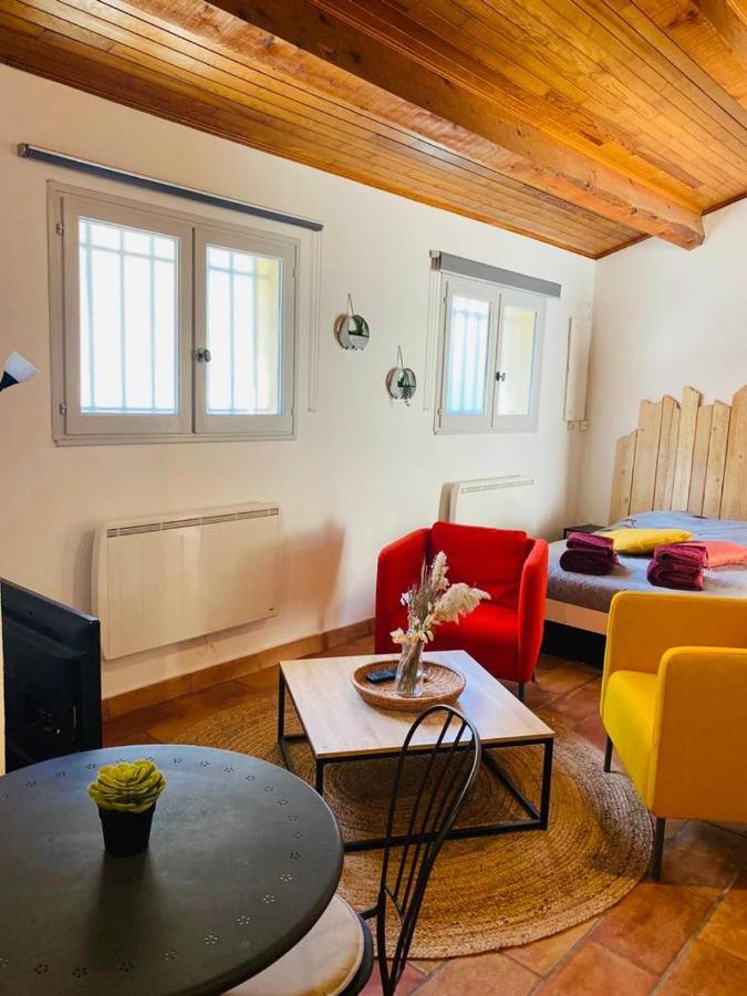 Studio île de la Barthelasse à deux pas du centre Avignon Extérieur photo