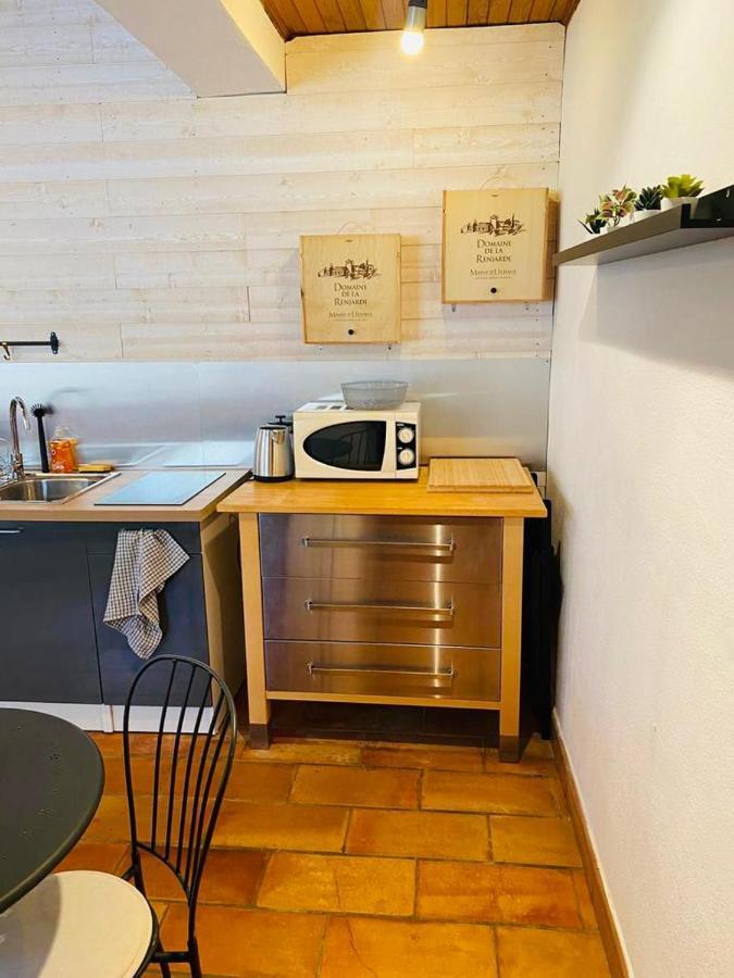 Studio île de la Barthelasse à deux pas du centre Avignon Extérieur photo
